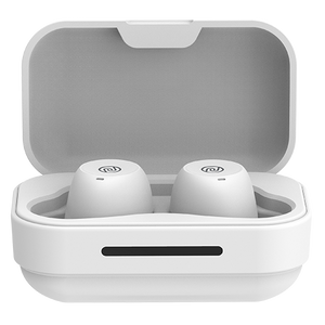 Noise Shots ERGO Truly Wireless Earbuds with Charging Case